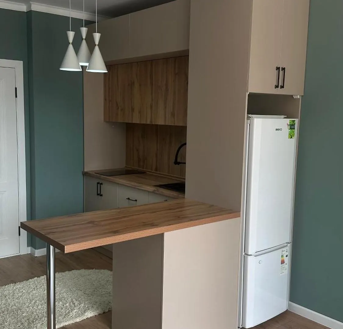 Daily short term flat Apartment Almaty